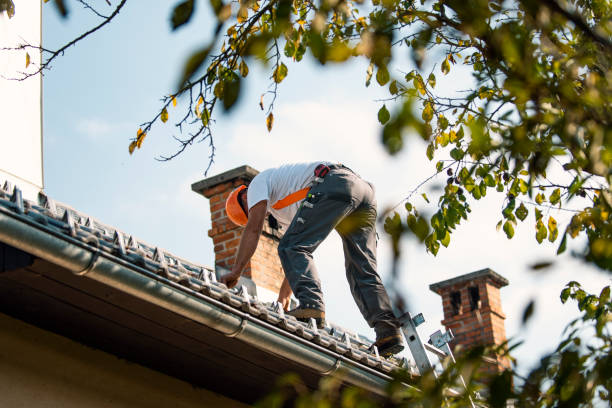 Best Roof Gutter Cleaning  in Golden Meadow, LA